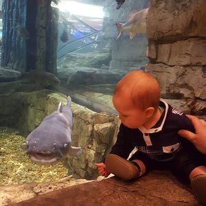 Meet your Posher, Brynn